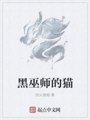 白圣女与黑巫师第一季