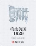 重生美国1996TXT