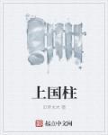 上柱国将军