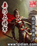 妻乃上将军女主是