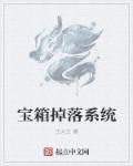 宝箱怪会掉什么