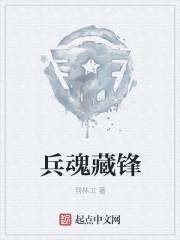 兵魂藏锋txt全集