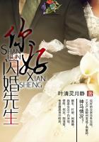 电视剧闪婚续写