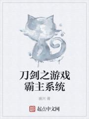 刀剑神域游戏系统叫什么