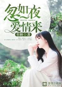 一夜爱情未删减版