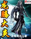 龙腾大陆是哪本里的