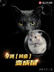 回到过去变成猫cfh