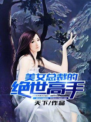 美女总裁的绝世高手txt全文