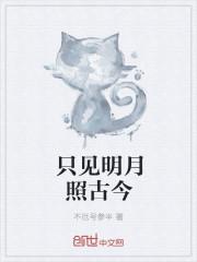 明月照今古的上一句是什么