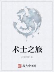 术士之流什么意思