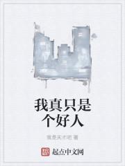 我真只是个好人免费阅读