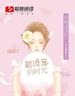 被遗忘的时光蔡琴歌词