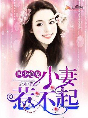 四少绝宠小妻惹不起免费