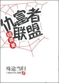 综英美仇富者联盟