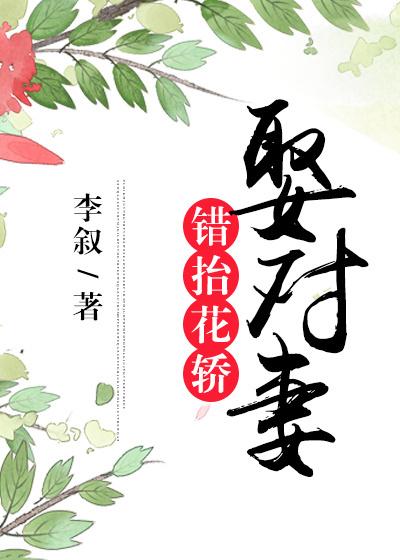 错抬花轿娶对妻演员表