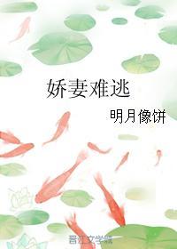 娇妻难逃 txt  明月像饼