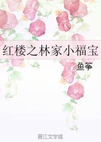 红楼之林家小福宝TXT