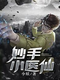 妙手小医仙秦龙全文免费阅读