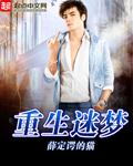 重生迷醉香江无防盗