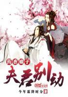 药香娘子夫君别动内容介绍