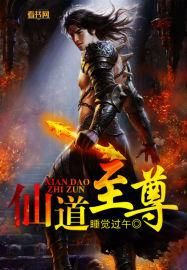 仙道至尊林昊