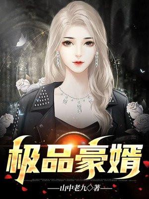 极品豪婿韩枫免费阅读