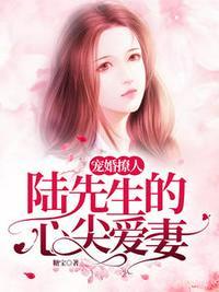 宠婚撩人 陆先生的心尖爱妻