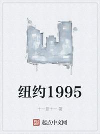 纽约1995TXT