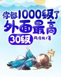 你都1000级了外面最高30级等级