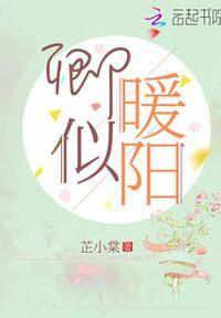 卿似暖阳TXT百度