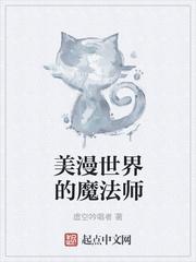 美漫世界的魔法师笔趣阁