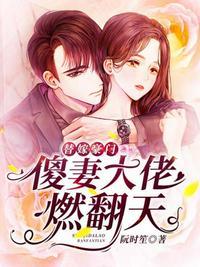 傻妻日常翻车记