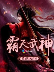 霸天武神武邪江湖顶点