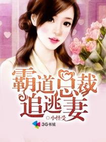 霸道总裁追逃妻宋晓洁