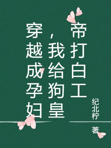 穿越成孕妇古言