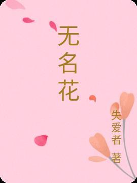 无名花长什么样