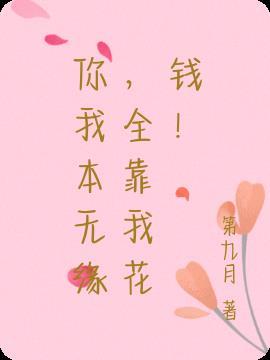 你我本无缘全靠我花钱格格党