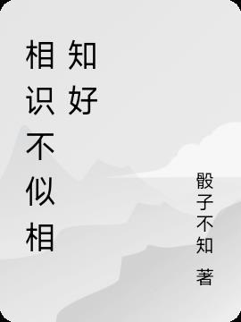 我们从相遇