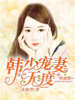 一纸成婚韩少宠妻无度_