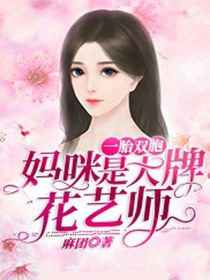 一胎双宝花界妈咪