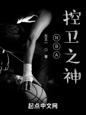 nba控卫之神东王一TXT