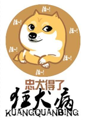 忠犬得了狂犬病怎么办