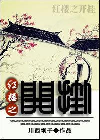 红楼之突破
