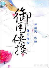 御用侠探txt番外