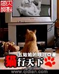 猫行天下动画片