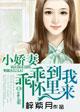 小妻乖乖让我宠一共多少章