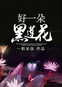 好大一朵黑莲花流兮冉