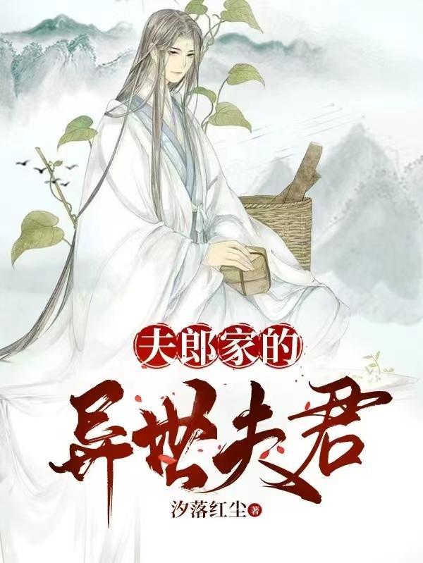 夫郎在异世在线看
