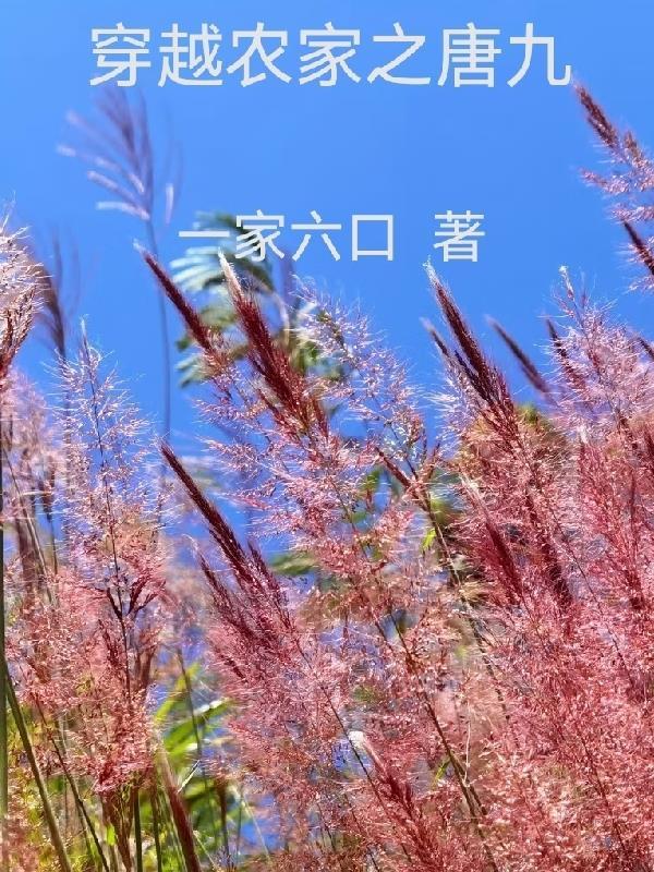 穿越农家三兄弟唐禾