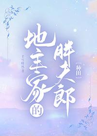 穿越胖夫郎